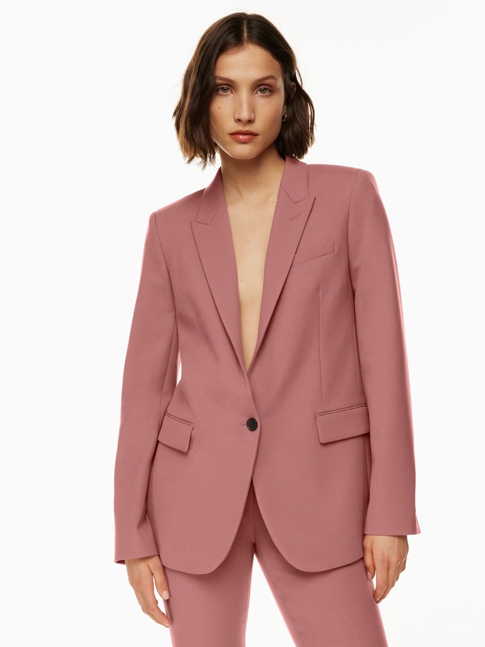 Babaton Aritzia Concept Blazer Red Willow XL